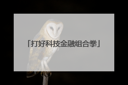 打好科技金融组合拳