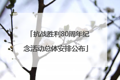 抗战胜利80周年纪念活动总体安排公布