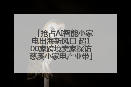 抢占AI智能小家电出海新风口 超100家跨境卖家探访慈溪小家电产业带