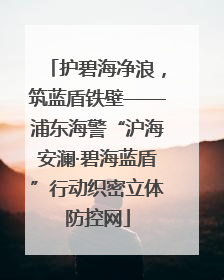 护碧海净浪，筑蓝盾铁壁——浦东海警“沪海安澜·碧海蓝盾”行动织密立体防控网