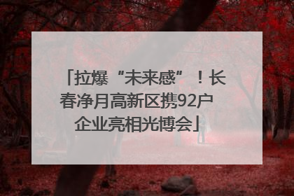 拉爆“未来感”！长春净月高新区携92户企业亮相光博会