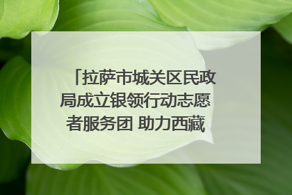 拉萨市城关区民政局成立银领行动志愿者服务团 助力西藏银发经济发展