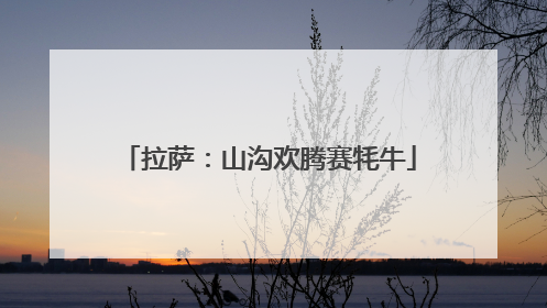 拉萨：山沟欢腾赛牦牛