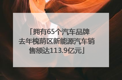 拥有65个汽车品牌 去年槐荫区新能源汽车销售额达113.9亿元