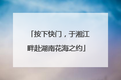 按下快门，于湘江畔赴湖南花海之约