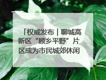 权威发布｜聊城高新区“顾乡平野”片区成为市民城郊休闲全新目的地