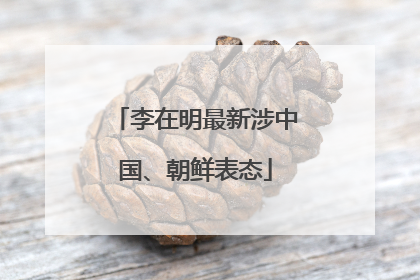 李在明最新涉中国、朝鲜表态