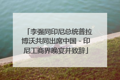 李强同印尼总统普拉博沃共同出席中国－印尼工商界晚宴并致辞