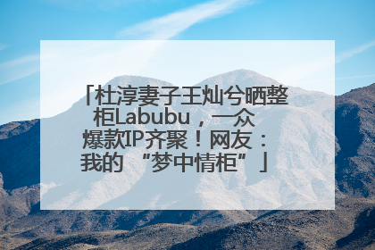 杜淳妻子王灿兮晒整柜Labubu，一众爆款IP齐聚！网友：我的 “梦中情柜”