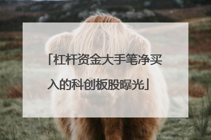 杠杆资金大手笔净买入的科创板股曝光