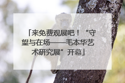 来免费观展吧！“守望与在场——毛本华艺术研究展”开幕