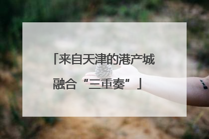 来自天津的港产城融合“三重奏”