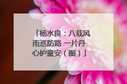 杨水良：八载风雨巡防路 一片丹心护童安（图）