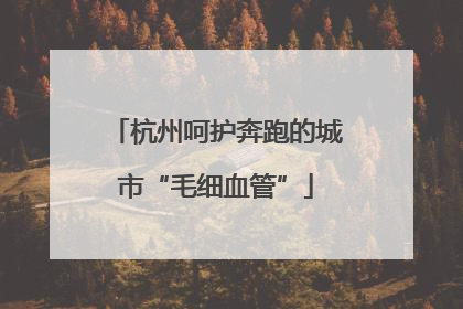 杭州呵护奔跑的城市“毛细血管”