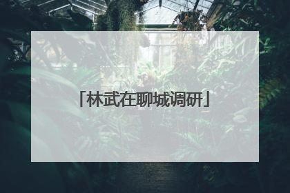林武在聊城调研