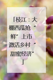 枝江：大棚西瓜抢“鲜”上市 激活乡村“甜蜜经济”