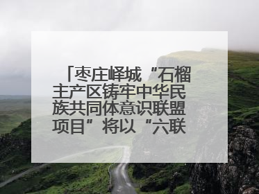 枣庄峄城“石榴主产区铸牢中华民族共同体意识联盟项目”将以“六联”活动为抓手深化品牌建设