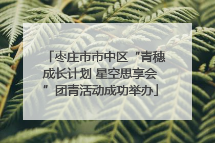 枣庄市市中区“青穗成长计划 星空思享会”团青活动成功举办