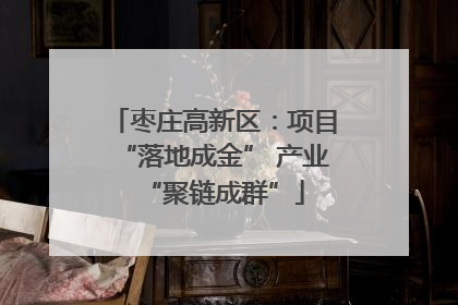 枣庄高新区：项目“落地成金” 产业“聚链成群”