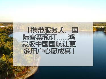 携带服务犬、国际客票预订……鸿蒙版中国国航让更多用户心愿成真