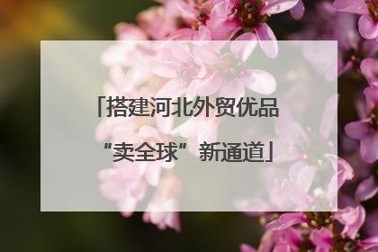 搭建河北外贸优品“卖全球”新通道