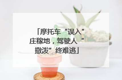 摩托车“误入”庄稼地，驾驶人“撒泼”终难逃