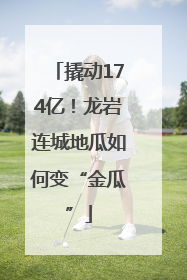 撬动174亿！龙岩连城地瓜如何变“金瓜”
