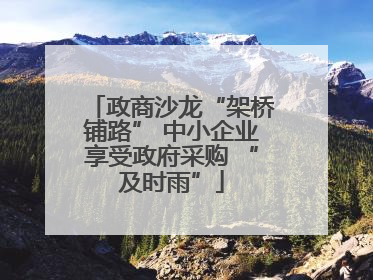 政商沙龙“架桥铺路” 中小企业享受政府采购 “及时雨”