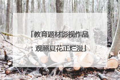 教育题材影视作品：观照夏花正烂漫