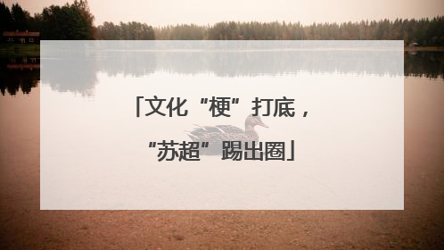 文化“梗”打底，“苏超”踢出圈