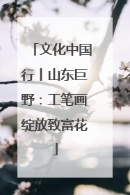 文化中国行丨山东巨野：工笔画绽放致富花