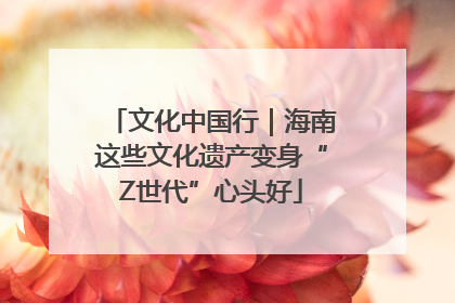 文化中国行｜海南这些文化遗产变身“Z世代”心头好