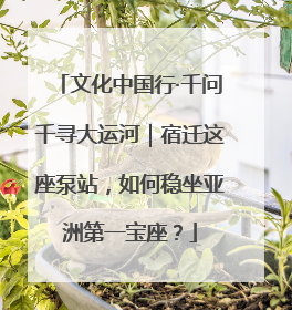 文化中国行·千问千寻大运河｜宿迁这座泵站，如何稳坐亚洲第一宝座？