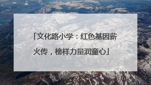 文化路小学：红色基因薪火传，榜样力量润童心