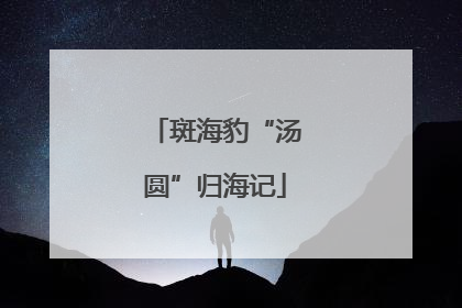 斑海豹“汤圆”归海记