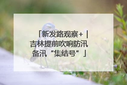 新发路观察+｜吉林提前吹响防汛备汛“集结号”