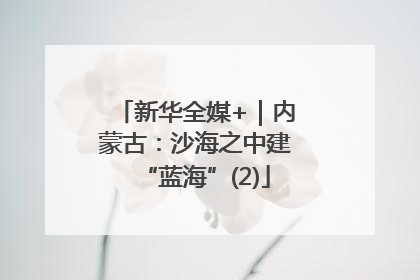 新华全媒+｜内蒙古：沙海之中建“蓝海”(2)