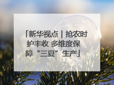 新华视点｜抢农时 护丰收 多维度保障“三夏”生产
