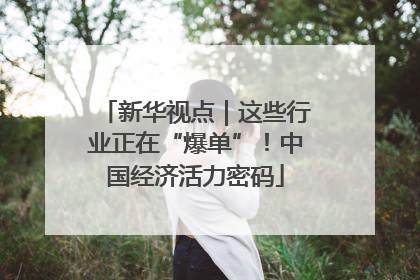 新华视点｜这些行业正在“爆单”！中国经济活力密码