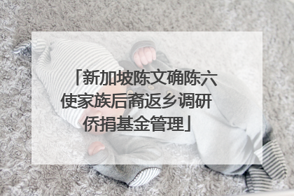 新加坡陈文确陈六使家族后裔返乡调研侨捐基金管理
