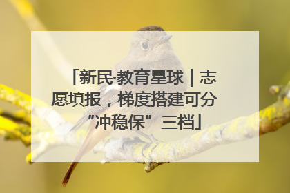 新民·教育星球｜志愿填报，梯度搭建可分“冲稳保”三档