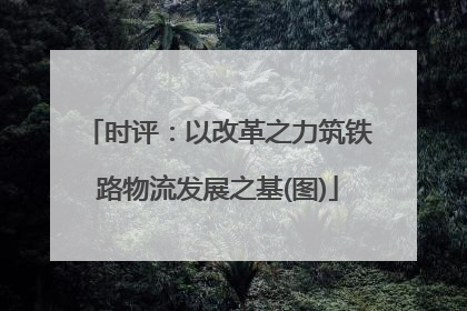 时评：以改革之力筑铁路物流发展之基(图)