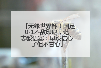 无缘世界杯！国足0-1不敌印尼，范志毅语塞：早没信心了但不甘心