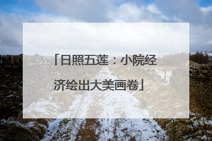 日照五莲：小院经济绘出大美画卷