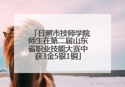 日照市技师学院师生在第二届山东省职业技能大赛中获3金5银1铜
