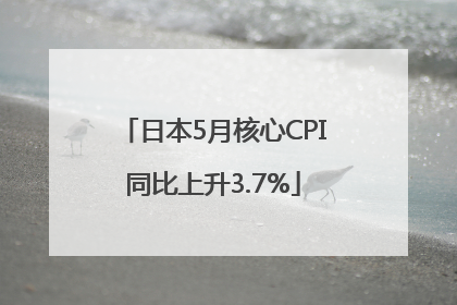 日本5月核心CPI同比上升3.7%