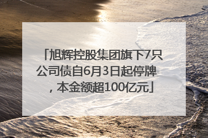 旭辉控股集团旗下7只公司债自6月3日起停牌，本金额超100亿元