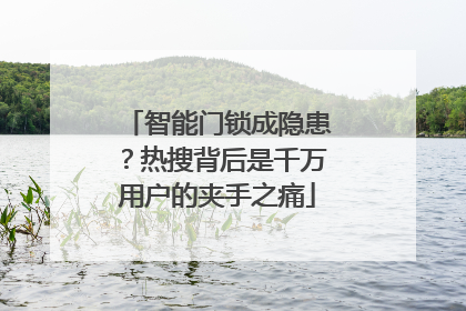 智能门锁成隐患？热搜背后是千万用户的夹手之痛