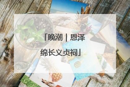 晚潮｜恩泽绵长义贞祠
