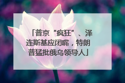 普京“疯狂”、泽连斯基应闭嘴，特朗普猛批俄乌领导人